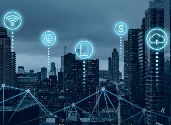 Professional Network Management Solutions for Growing Businesses in Dubai