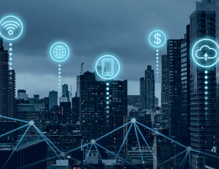 Professional Network Management Solutions for Growing Businesses in Dubai