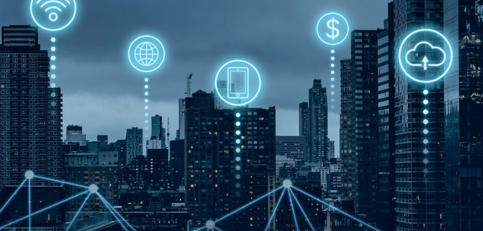 Professional Network Management Solutions for Growing Businesses in Dubai